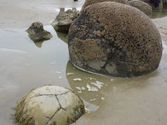 -摩拉基大圆石