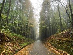 -山王坪喀斯特国家生态公园