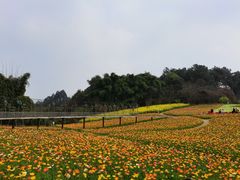 -保利石象湖景区