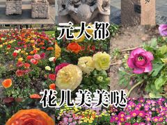 -元大都城垣遗址公园