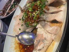 -新白鹿餐厅(百联中环店)