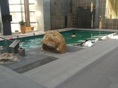-和园景逸大酒店朗月汤泉