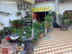 -溪岸路花鸟市场