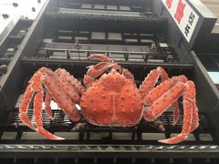-蟹料理 北海道かに将軍(札幌本店)