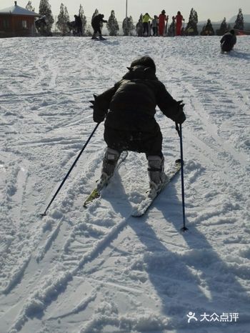 雪山中的滑雪比拼开始啦，赶紧来体验吧