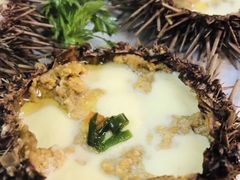 野生海胆蒸蛋-开海·红岛海鲜虾水饺(石老人店)