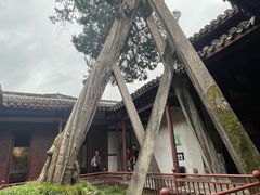 -太平天国侍王府