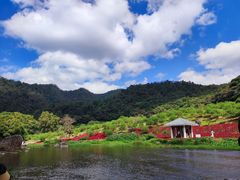 -广州市石门国家森林公园