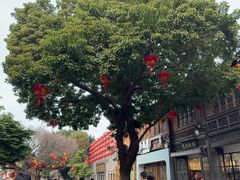 -三坊七巷历史文化街区