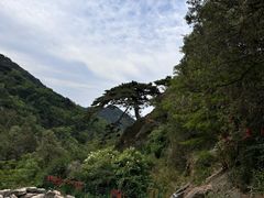 -泰山风景名胜区