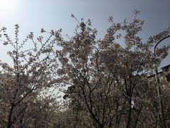 -南山植物园