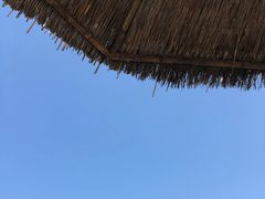 -白洋淀景区