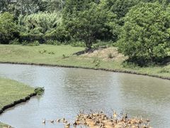 -溱湖国家湿地公园