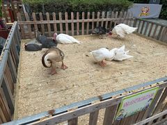 -广州长隆国际大马戏