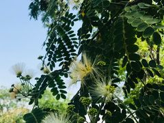 -白鹭湾湿地公园