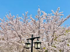 -陶然亭公园