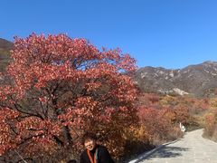 -建平天秀山森林公园