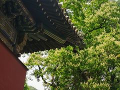 -潭柘寺景区