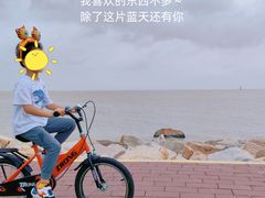 -野狸岛