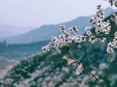 -北京凤凰岭