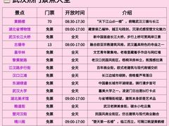 -武汉长江大桥