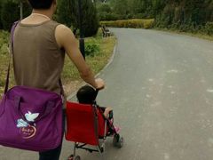 -永定河休闲森林公园