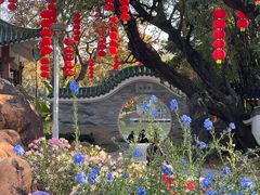 -荔湾湖公园
