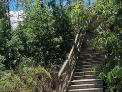 -旗岭森林公园