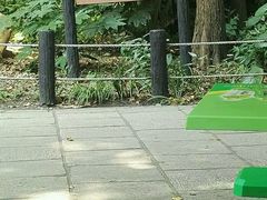-共青国家森林公园-售票处
