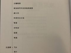 -新加坡航空公司(ION)