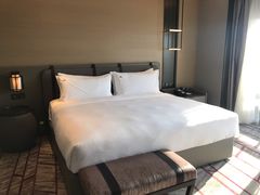 -新加坡瑞士史丹福酒店