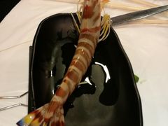 -鲜入围煮花胶鸡海鲜火锅