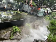 -蘇河湾·新鲁菜·泰山宴(泰山店)