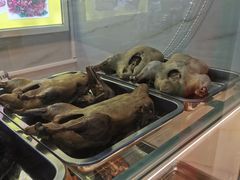 -建新卤菜(第三分店)