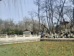 -莲湖公园