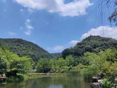 -桃花岭景区