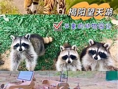 -望天湖