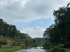 -东莞植物园