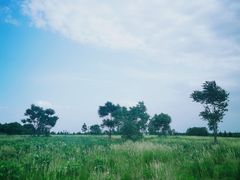-茂陵博物馆