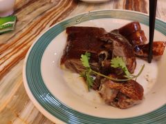 -椿记烧鹅(叠彩店)