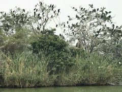 鹤屿-惠州西湖