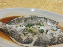 -涛记酒家(瑞宝南路店)