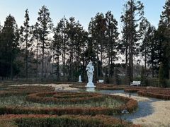 -东平国家森林公园