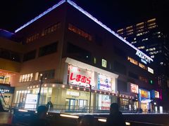 -台场海滨公园船码头