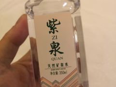 -南京东郊国宾馆