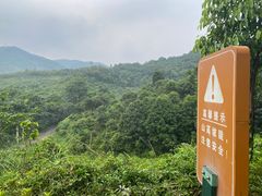 -田心森林公园