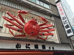 -蟹道乐(道顿堀本店)