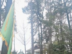 -青羊宫