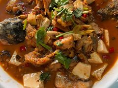 -煲来饱去冷水鱼