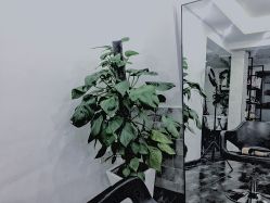 -Meet salon 遇见造型
